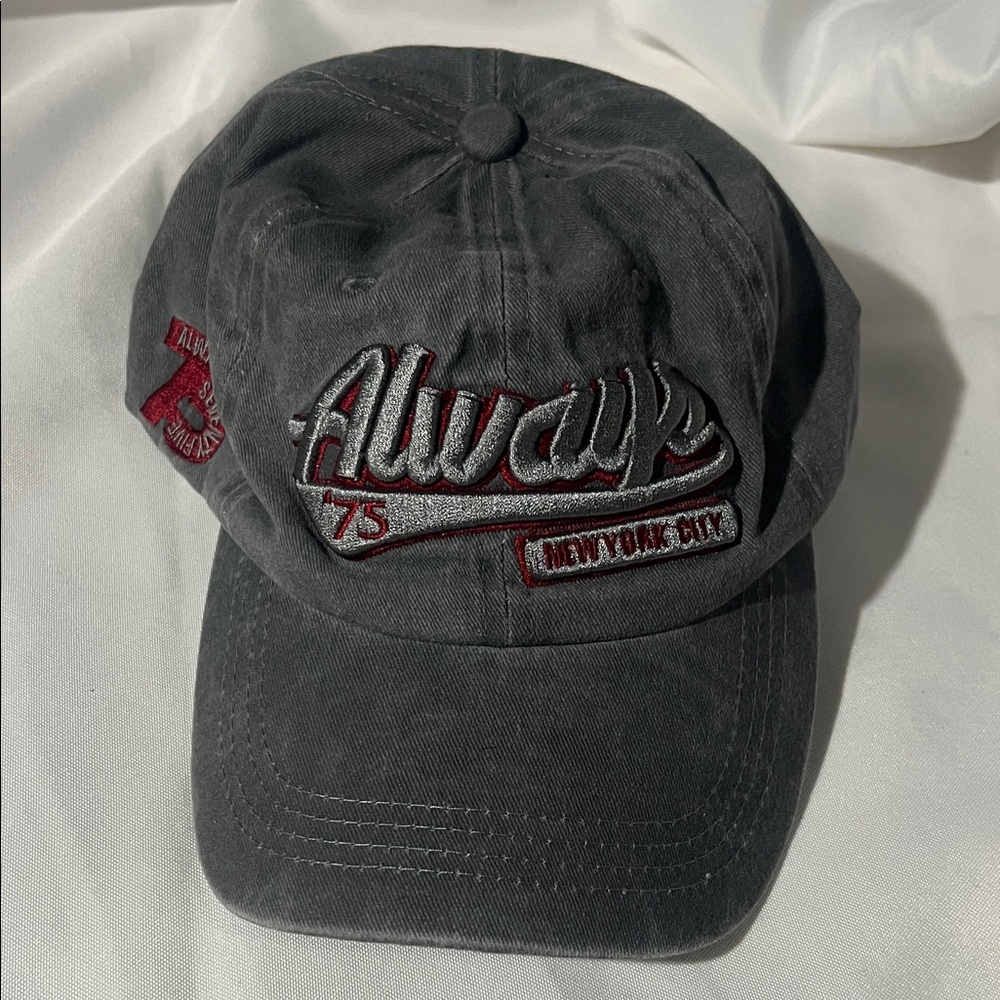 Gray and Red Embroidered Cap‎